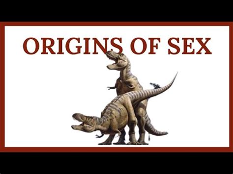 The Origins Of Sex DINOSAUR SEX YouTube