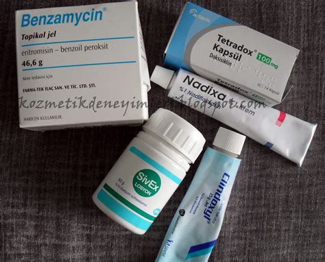 interaktif sözlük