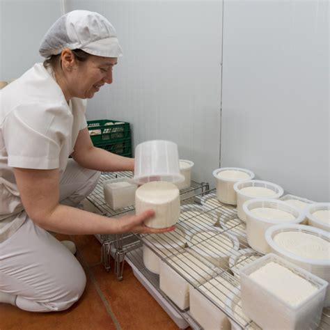Goat Cheese Making Experience Portugal Farm Experiences