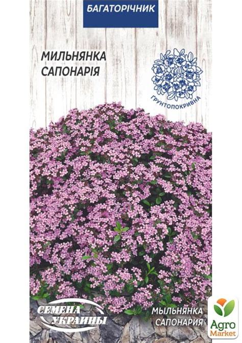 Мыльнянка ТМ "Семена Украины" 0.2г купить почтой в Одессе, Киеве ...