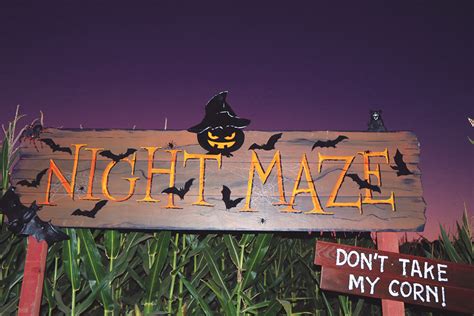 pumpkinfests  maze lacks fright  night  poly post