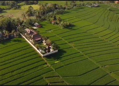 Villa Pantai Nyanyi Pemandangan Sawah