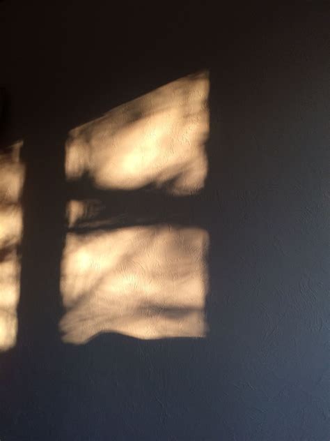 Сквозь окно свет 💡 | Shadow photography, Minimal photography, Sun blinds