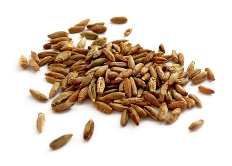 Rye Profile | Agricultural Marketing Resource Center