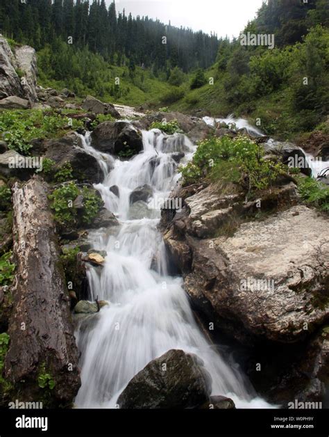 View Of Bungas Valley Bangus Is 74 Kilometers Away From Summer Capital