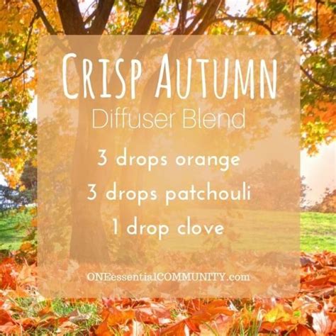 Best Fall Essential Oil Blends For Your Diffuser Free Printable