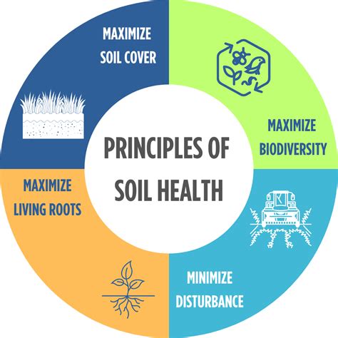 What Is Healthy Soil Science Mill