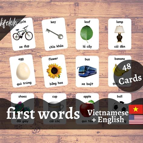 First Words VIETNAMESE Version English Bilingual Cards 48 | Etsy