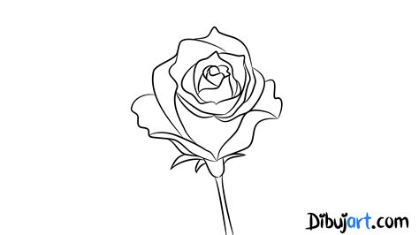 Ideas Sobre C Mo Dibujar Una Rosa Paso A Paso Dibujo De Rosas