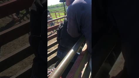 Gay Guy Get His Ass Fucked YouTube