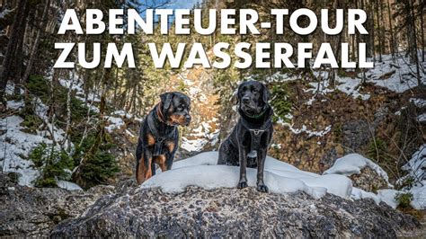 Cedric Der Labrador 232 Abenteuer Tour Zum Wasserfall YouTube