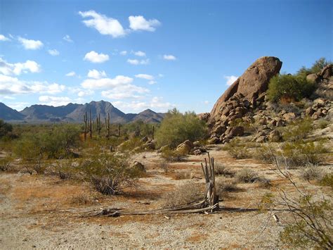 File:Sonoran Desert 33.081359 n112.431507.JPG - Wikipedia