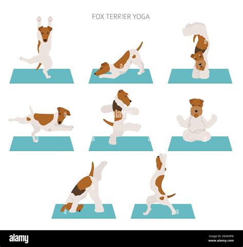 Yoga Dogs Poses And Exercises Poster Design Smooth Fox Terrier And