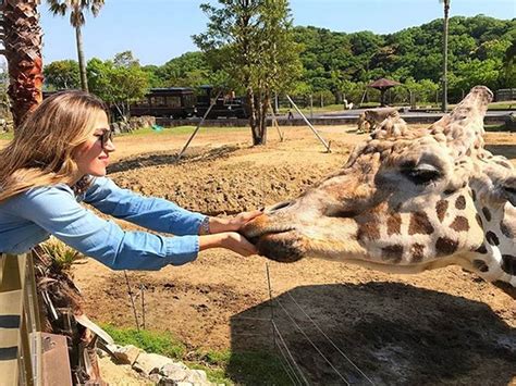 Naturaleza Malla S Per Cavada Y Una Foto Muy Hot El Viaje De Jimena Bar N A Jap N Con Marley