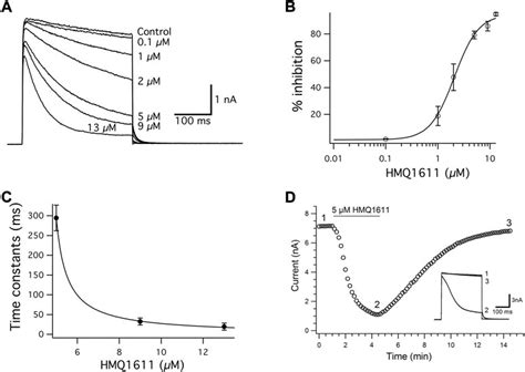 Frontiers Open Channel Block Of Kv Channels By Hmq