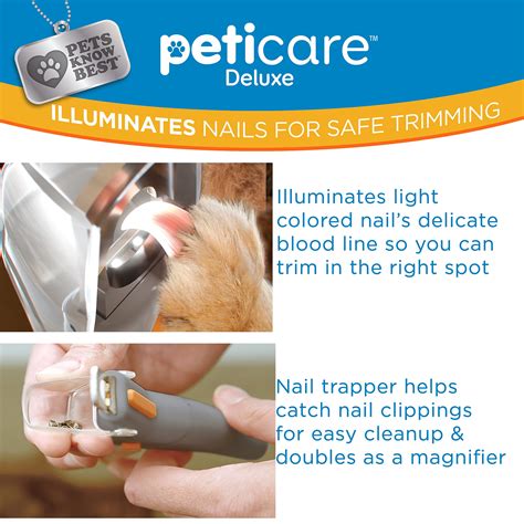 How Much Is Dog Nail Clipping