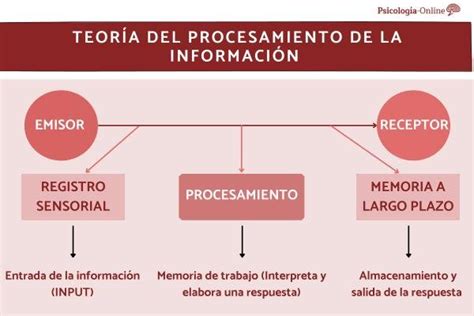 Teor A Del Procesamiento De La Informaci N Qu Es Caracter Sticas Y