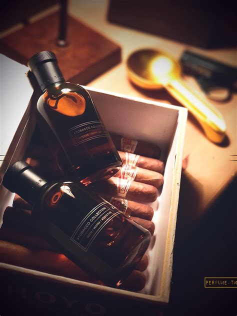 Tobacco Collection Intense Dark Exclusive 2021 Zara kolínská - a vůně ...