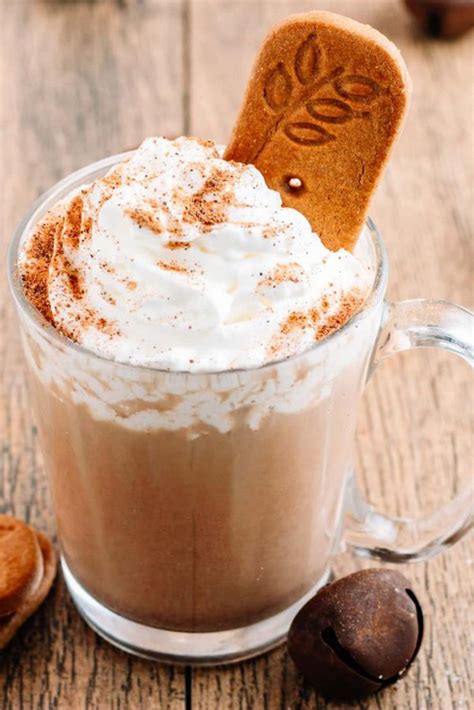 Hot Chocolate Drinks BEST Gingerbread Hot Chocolate Recipe Easy And