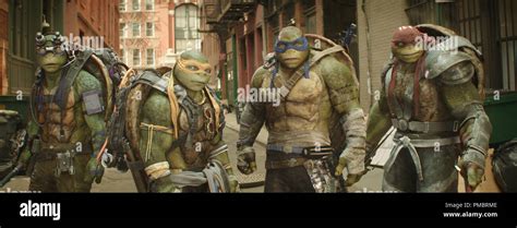 Left To Right Donatello Michelangelo Leonardo And Raphael In Teenage