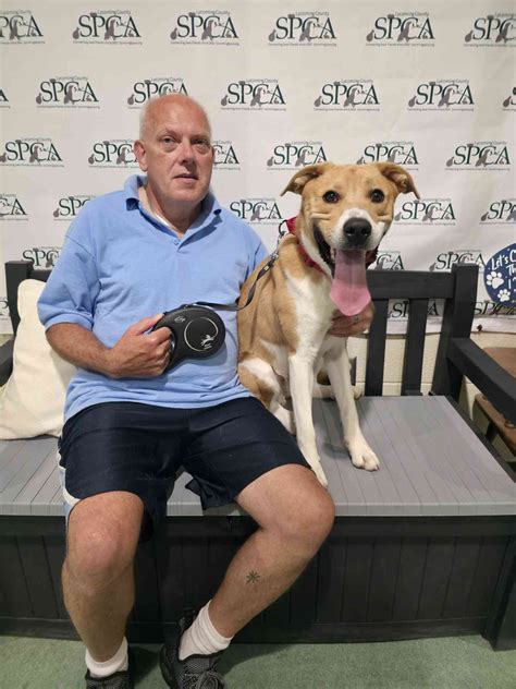 A look at the daily operations of lycoming spca 14