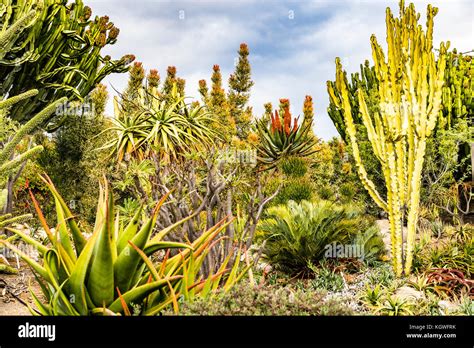 San Diego Zoo Safari Park World Garden Plants Stock Photo Alamy