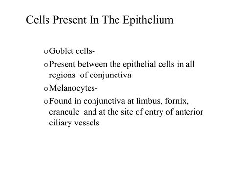 Conjunctival Anatomy And And Blood Supply Ppt