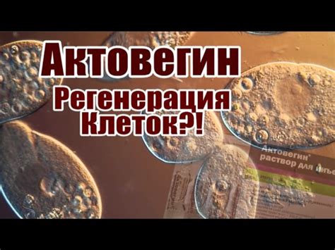Актовегин (раствор для инъекций) - инструкция по применению