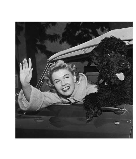 Doris Day Animal Foundation