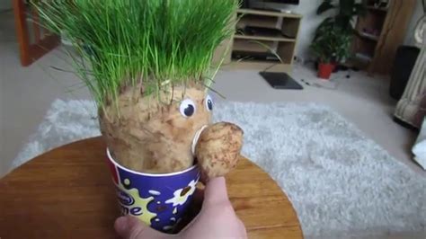 My Grass Head Youtube