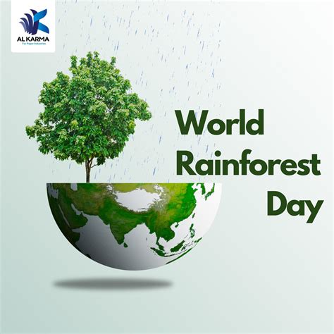 celebrating world rainforest day  message  alkarma  paper
