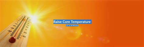 optimal basal body temperature  thyroid