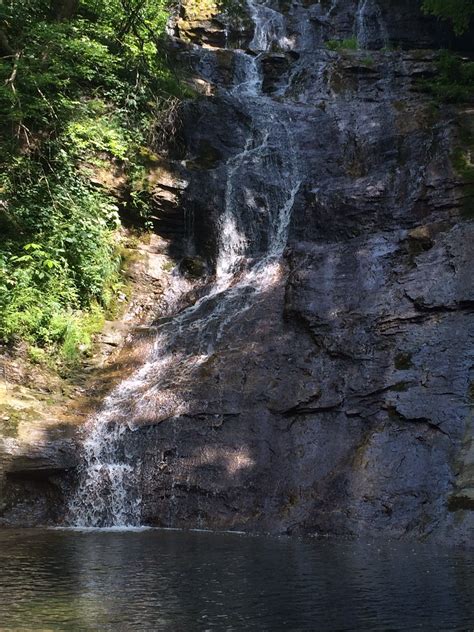 Thorn Hill, TN, US holiday accommodation: & more | Stayz