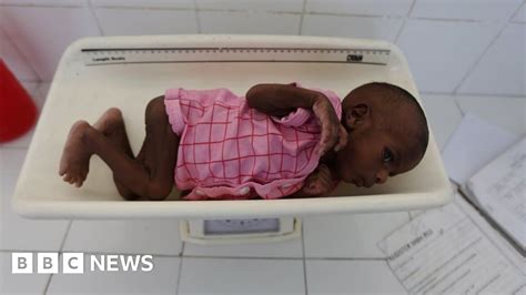 Africa health: Rotavirus vaccine could save 500,000 children a year ...