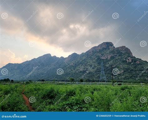 Beautiful Photo Of Tourism India Tamilnadu Madurai Green Trees Plants