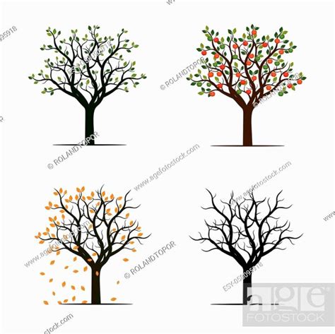 Four Season Trees Vector Illustration Stock Vector Vector And Low