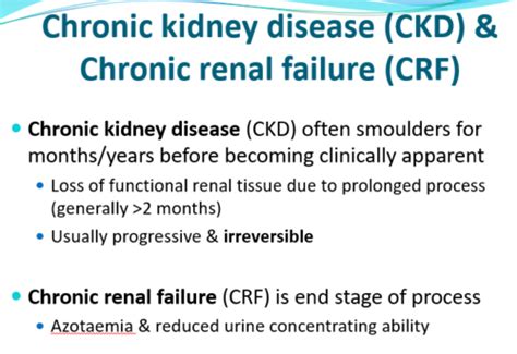 Chronic Kidney Disease Ckd Flashcards Quizlet