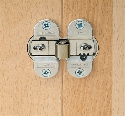 Concealed Surface Mount Cabinet Hinges Cabinets Matttroy