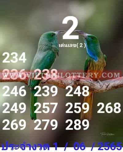 Thai Lottery Pair Set Up Close Digit Pass