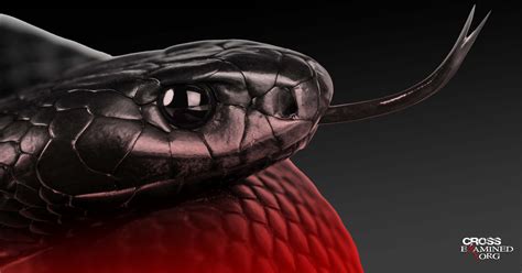 Snake Bible