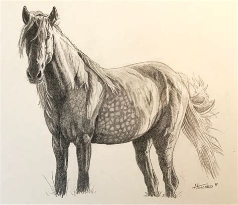 Michael Paul Howard: Horse Pencil Drawing