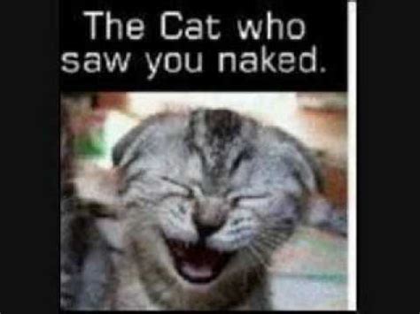 The Cat Who Saw You Naked YouTube