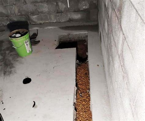 basement french drain cleanout process  details guideline
