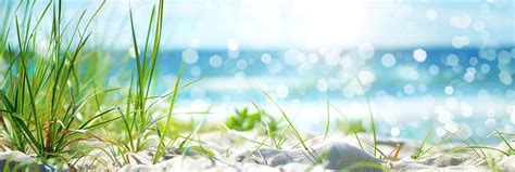 summer background stock  images  backgrounds
