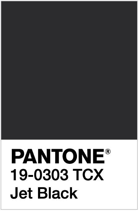 PANTONE 19 0303 TCX Jet Black Color