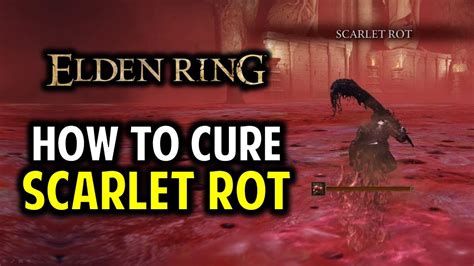 Scarlet Rot How To Cure Remove Scarlet Rot Elden Ring YouTube