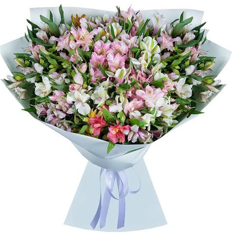 Букет из 15 альстромерий с доставкой по Саратову и Энгельсу | Интернет ...