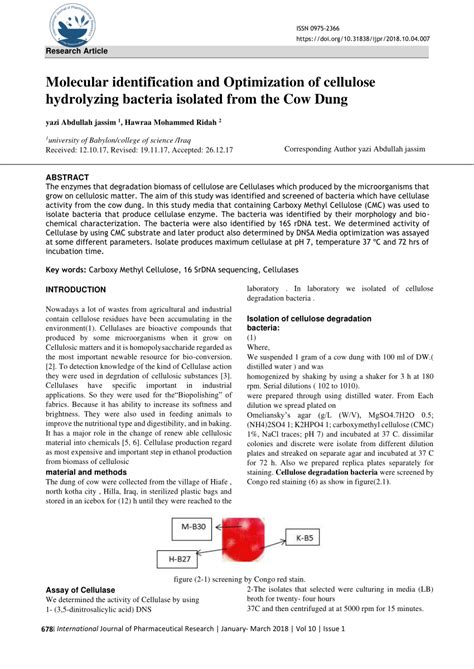 Pdf Molecular Identification And Optimization Of Cellulose