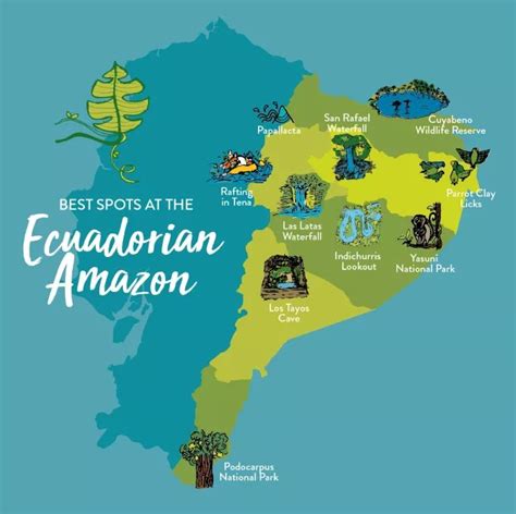 Best Spots At The Ecuadorian Amazon This Is Ecuador