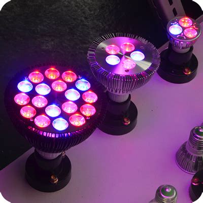 Гидропоника своими руками и прочее